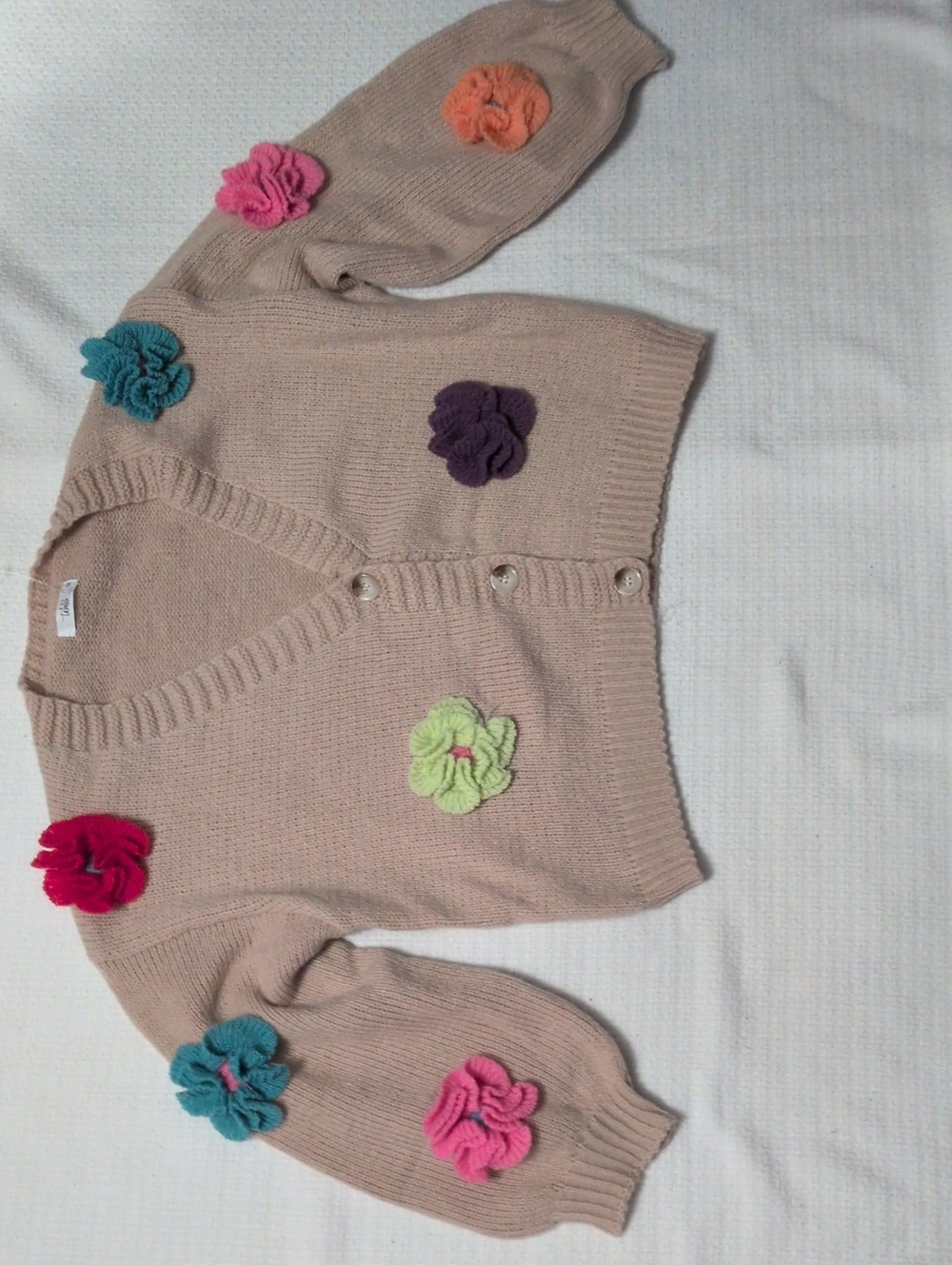 Talula Beig Sweater with Multicolor Flower Appliqués